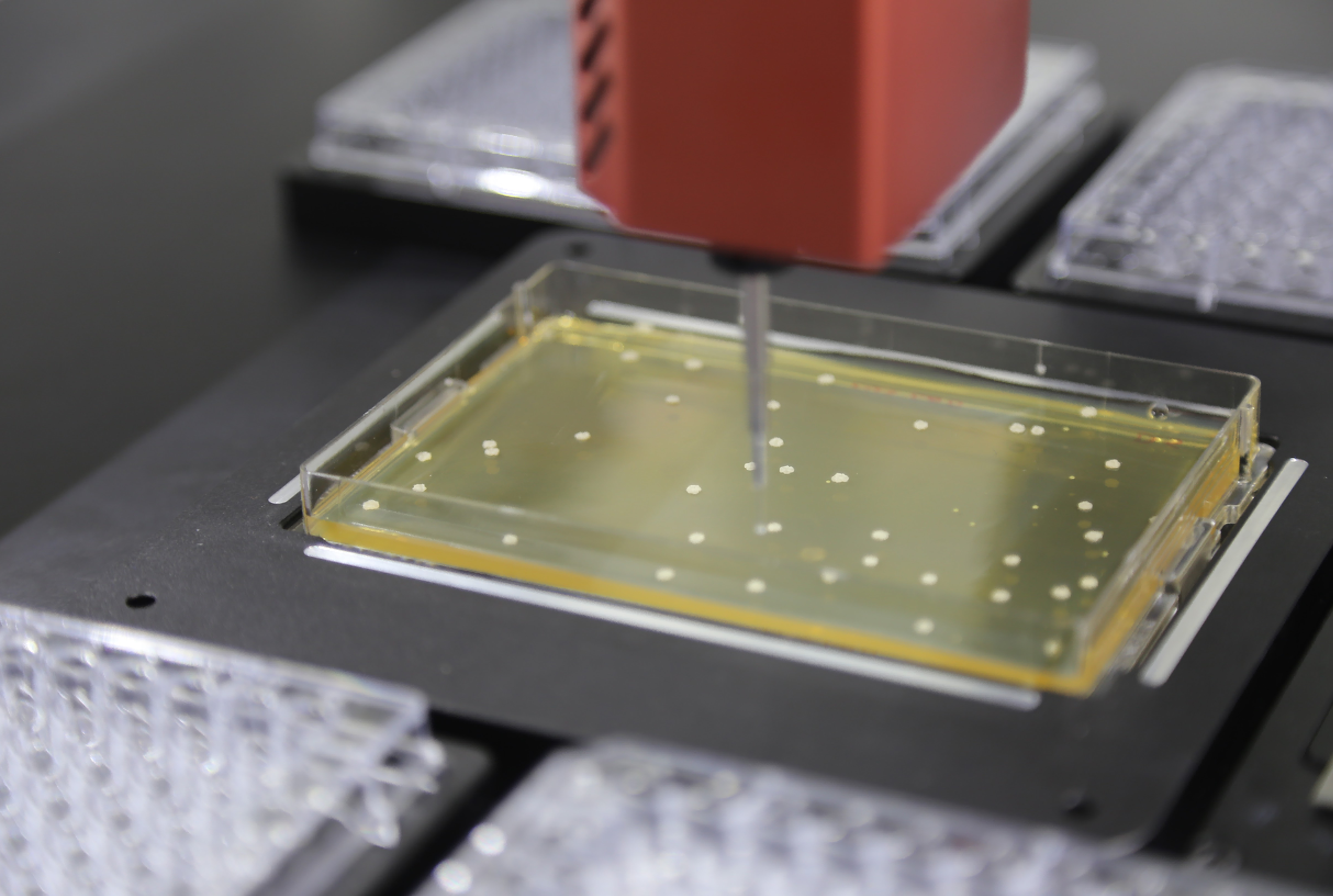 清華大學(xué)；尤老師