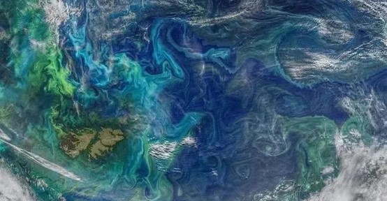 海洋微生物與自動化——探索深海領域的另一種可能