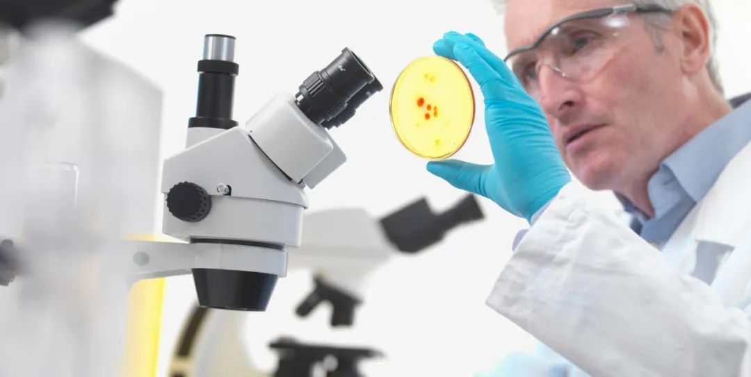 ICON|寫(xiě)進(jìn)“DNA”里的數(shù)據(jù)庫(kù)，讓菌落計(jì)數(shù)無(wú)限可能。