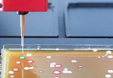 高通量自動(dòng)化的深度融合，開創(chuàng)ROTOR+與PIXL涂布挑菌新高度