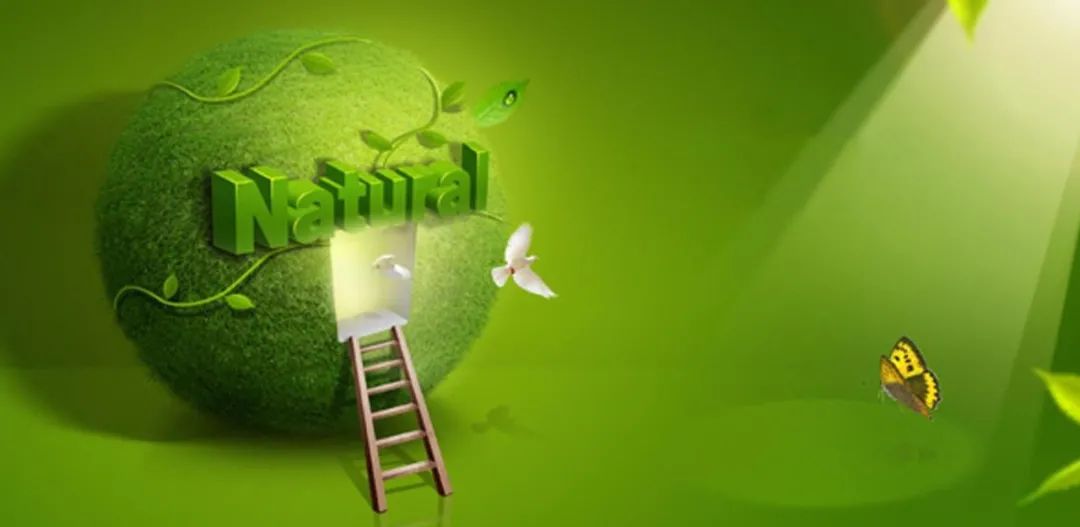 資源環(huán)境微生態(tài)，多項(xiàng)研究解鎖厭氧新“玩法”