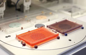 “水平科學(xué)”研究基因相互作用—ROTOR+高通量基因突變篩查的關(guān)鍵工具