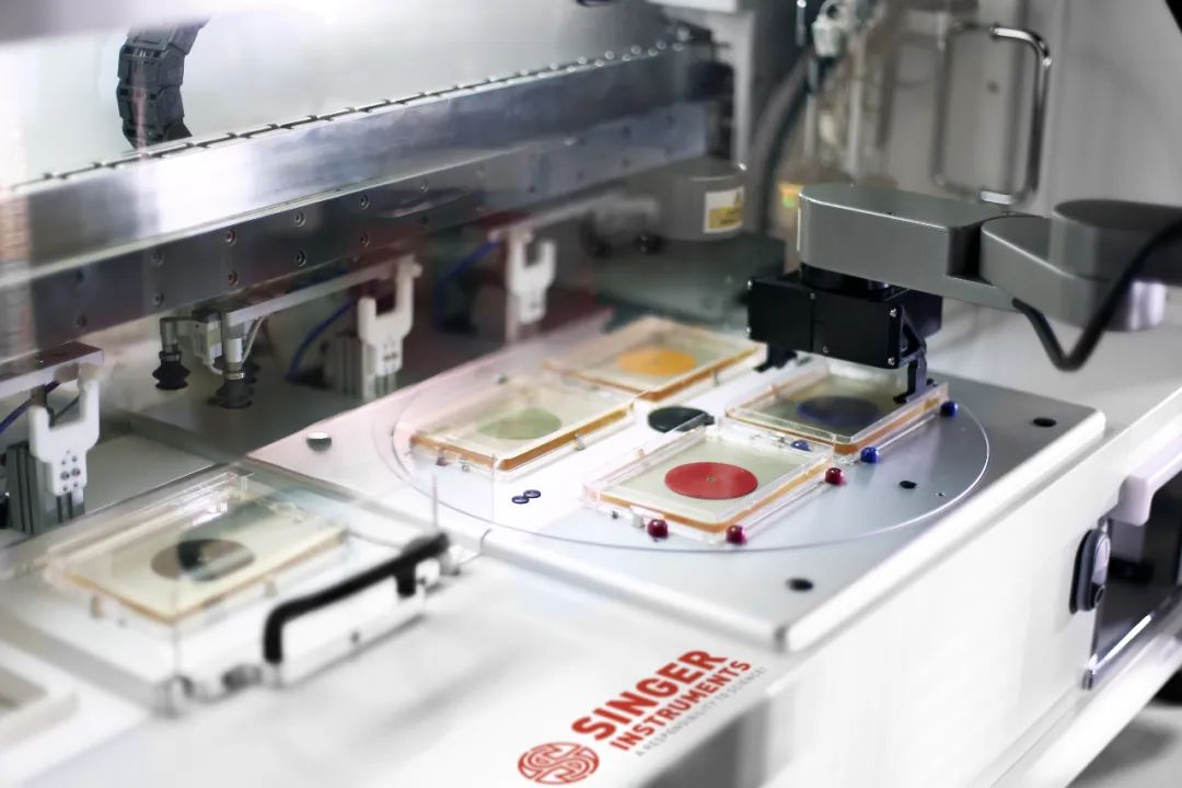 ROTOR+|一款深入研究新冠病毒奧秘的利器