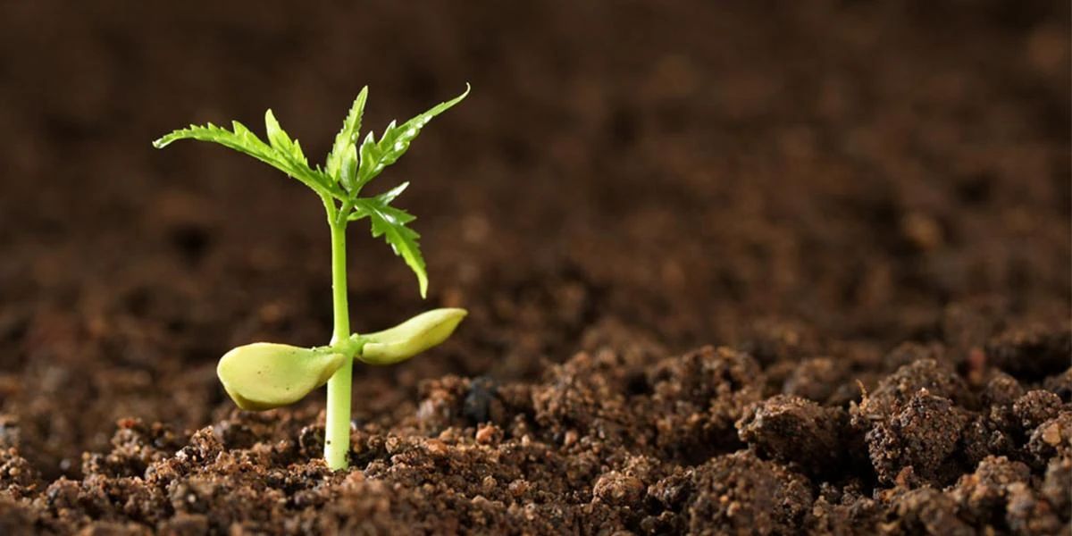 BWB Technologies|低碳排放，我是行動(dòng)者！