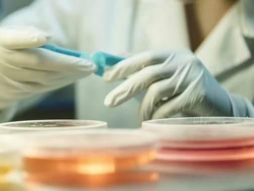 ICON：AI智能菌落計數(shù)，打開全新實(shí)驗(yàn)方式