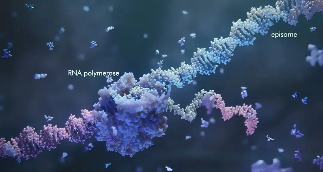 2大問題，7種方法，輕松提高腸道微生物組學培養(yǎng)成功率