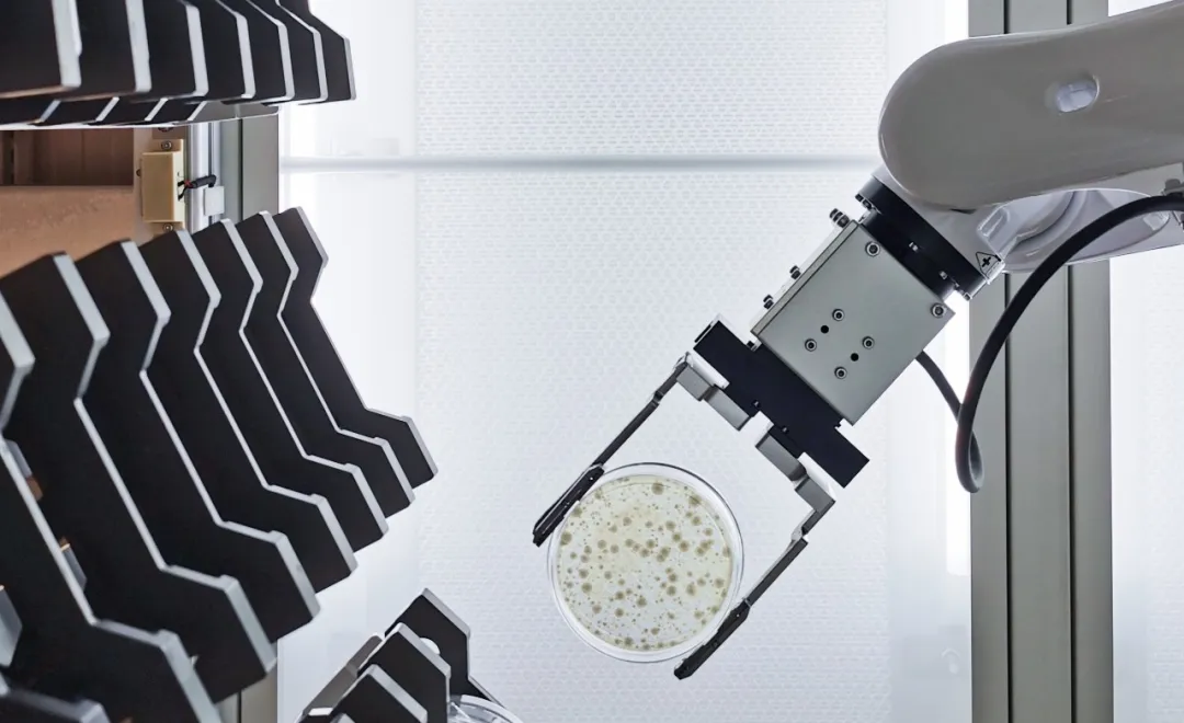 菌落計(jì)數(shù)準(zhǔn)確性的創(chuàng)新解決方案—從連續(xù)梯度稀釋到智能自動計(jì)數(shù)