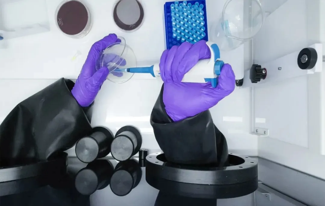 Electrotek厭氧工作站 | 探索厭氧菌應(yīng)用領(lǐng)域的無限潛力