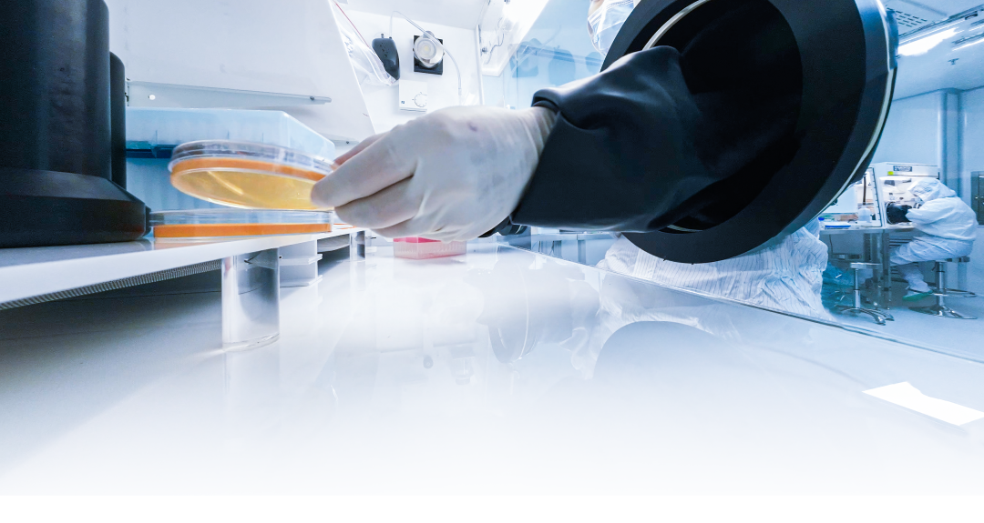 頂尖研究《Food Chemistry》揭示枸杞多糖發(fā)酵奧秘，Electrotek厭氧工作站全程護航