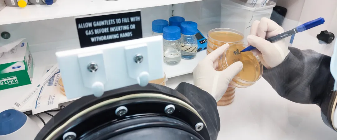 Electrotek助力中藥新發(fā)現(xiàn)！淫羊藿苷重塑菌群平衡，破解新生兒代謝難題