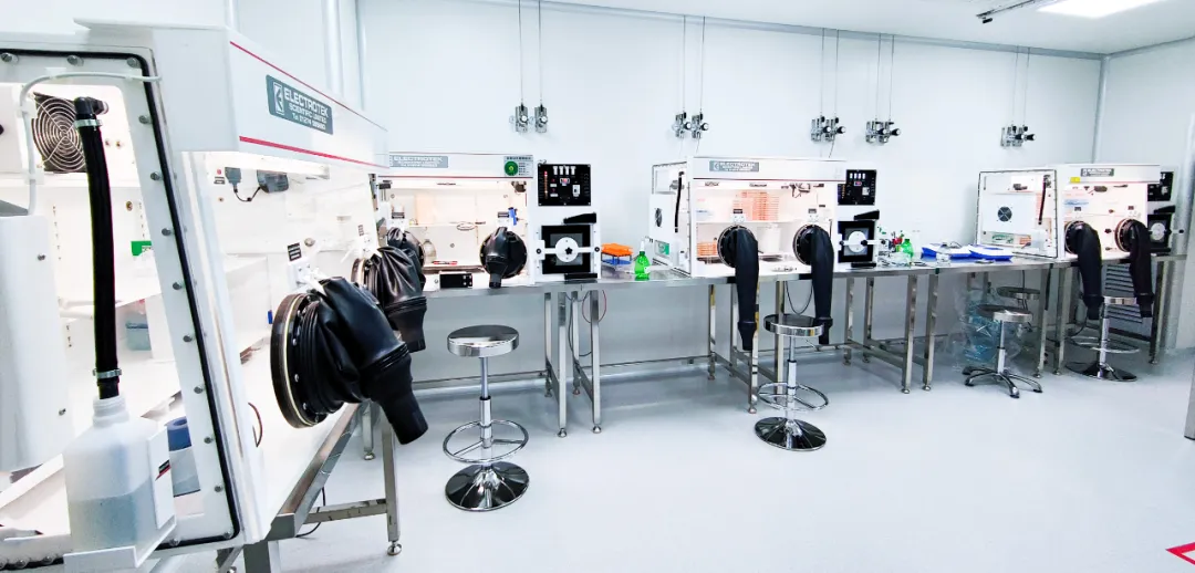 7菌模型破解枸杞多糖調(diào)控密碼！Electrotek助力精準(zhǔn)微生態(tài)研究登頂《Food Bioscience》