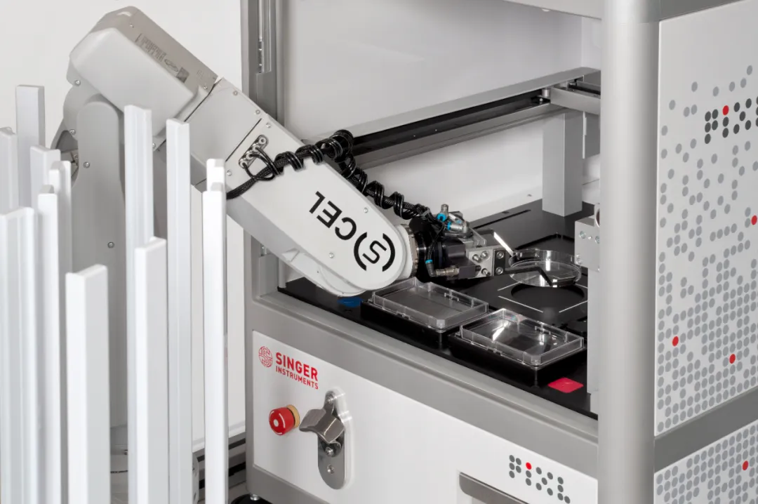 當(dāng)精準(zhǔn)編輯遇上效率瓶頸，如何解鎖大規(guī)模研究新可能？